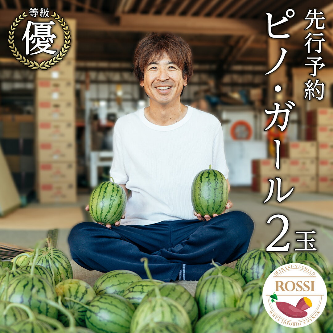 【ふるさと納税】【 先行予約 7月下旬 以降発送 】 小玉 スイカ ピノ・ガール 2玉 優以上 NONAKA HIROSHI FARM すいか 西瓜 数量限定 甘い 夏 果物 旬 2026年発送 2026年先行受付 2026年