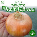 【ふるさと納税】2024年発送 予約 個数限定 たまねぎ 約3kg たまんねーぎ ちょぞたまくん VegeTanaQ 産地直送 お取り寄せ 碧南市 送料無料