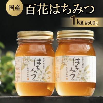 ふるさと納税 南伊勢町 国産　百花はちみつ500g×2本セット　長谷川養蜂　三重県南伊勢町　伊勢志摩