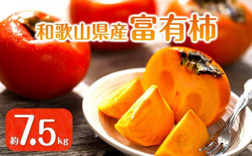 
            【2025年11月上旬以降発送】◆先行予約◆和歌山県産 富有柿＜ご家庭用＞約7.5kg 満杯詰め［MG2］
          