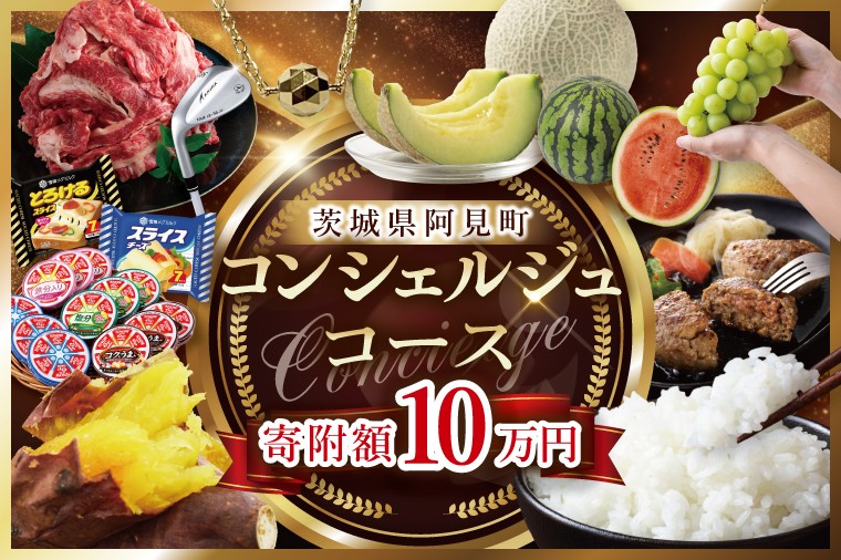 
            【提案型】コンシェルジュコース(10万円)（000-07）
          