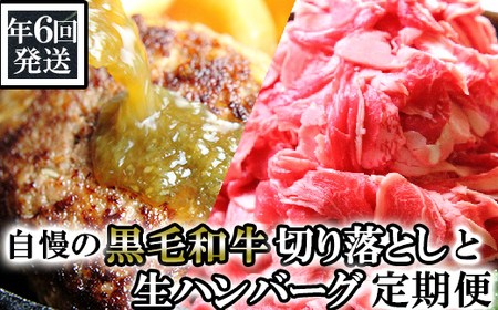 【定期便 6回発送】総合計14.4㎏！自慢の黒毛和牛切落しと手作り生ハンバーグ定期便