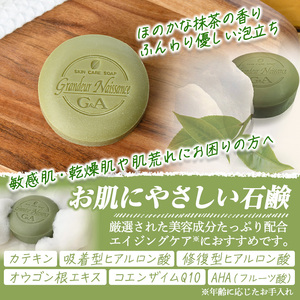 抹茶石鹸(100g×10個) 宇治緑茶 カテキン 石鹸 石けん 【uj-CC003-B】【株式会社ジーアンドエー】