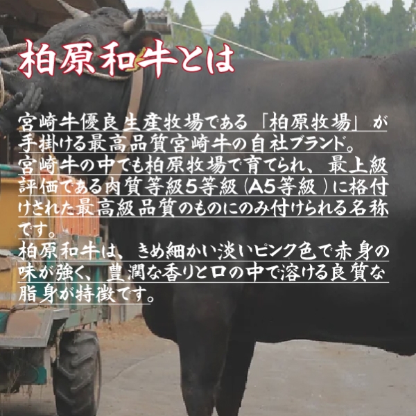 【自社農場宮崎牛】柏原和牛モモ しゃぶしゃぶ・すき焼き用 1キロ（国産 牛肉 黒毛和牛 すき焼き しゃぶしゃぶ）_イメージ2