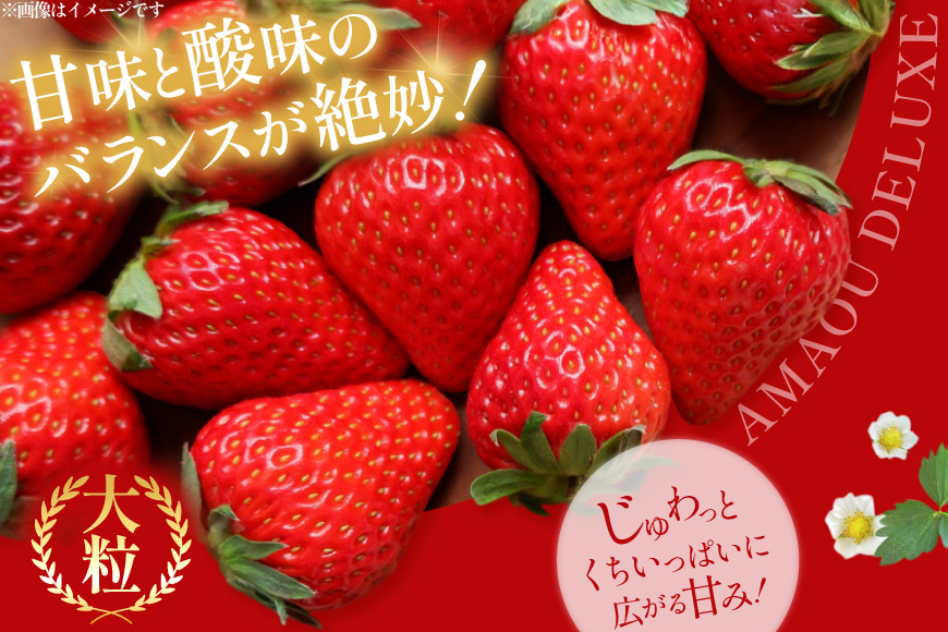 【期間限定発送】 いちご あまおう デラックス 2p [THE FARM_strawberry 福岡県 宇美町 um40azo780000] イチゴ 苺 フルーツ 果実 甘い 小分け