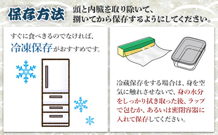 「カンパチ」 １匹 3.5kg～4kg 【先行申込】 手結沖養殖 - かんぱち かんぱち かんぱち かんぱち かんぱち かんぱち かんぱち かんぱち かんぱち かんぱち かんぱち かんぱち かんぱち 