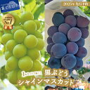 【ふるさと納税】 シャインマスカット 黒ぶどう 約1kg セット 2種 食べ比べ 山梨県産 富士吉田市 フルーツ 果物 ぶどう 富士吉田 厳選 産地直送 数量限定 2025年 詰め合わせ シャイン マスカット ふるさと納税 【2025年先行予約】