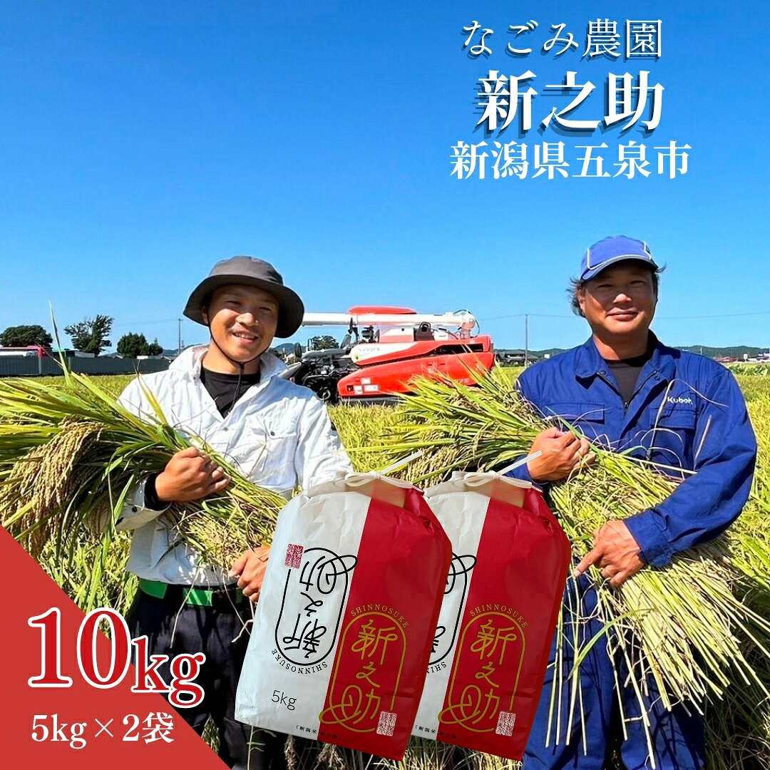 【ふるさと納税】【先行予約】【令和8年産米】 なごみ農園の新之助 10kg(5kg×2袋) | 新潟県 五泉市 なごみ農園