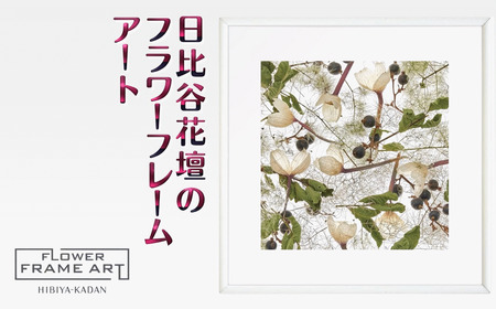 日比谷花壇のフラワーフレームアート Timeless Whispers（永遠のささやき） ソフケン アルミフレーム 25x25cm アートポスター ポスターフレーム 花ポスター インテリア おしゃれ 花 植物 贈り物 プレゼント ギフト 軽量フレーム ボタニカルアート フラワーアート 癒しの空間