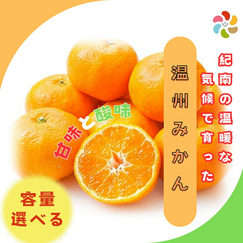 【ふるさと納税】 紀南の温暖な気候で育った田辺の温州みかん【選べる容量】※11月下旬～12月下旬頃に順次発送予定【期間限定・先行予約・12/10まで】 / みかん 温州ミカン 柑橘 果物 フルーツ 和歌山県 田辺市