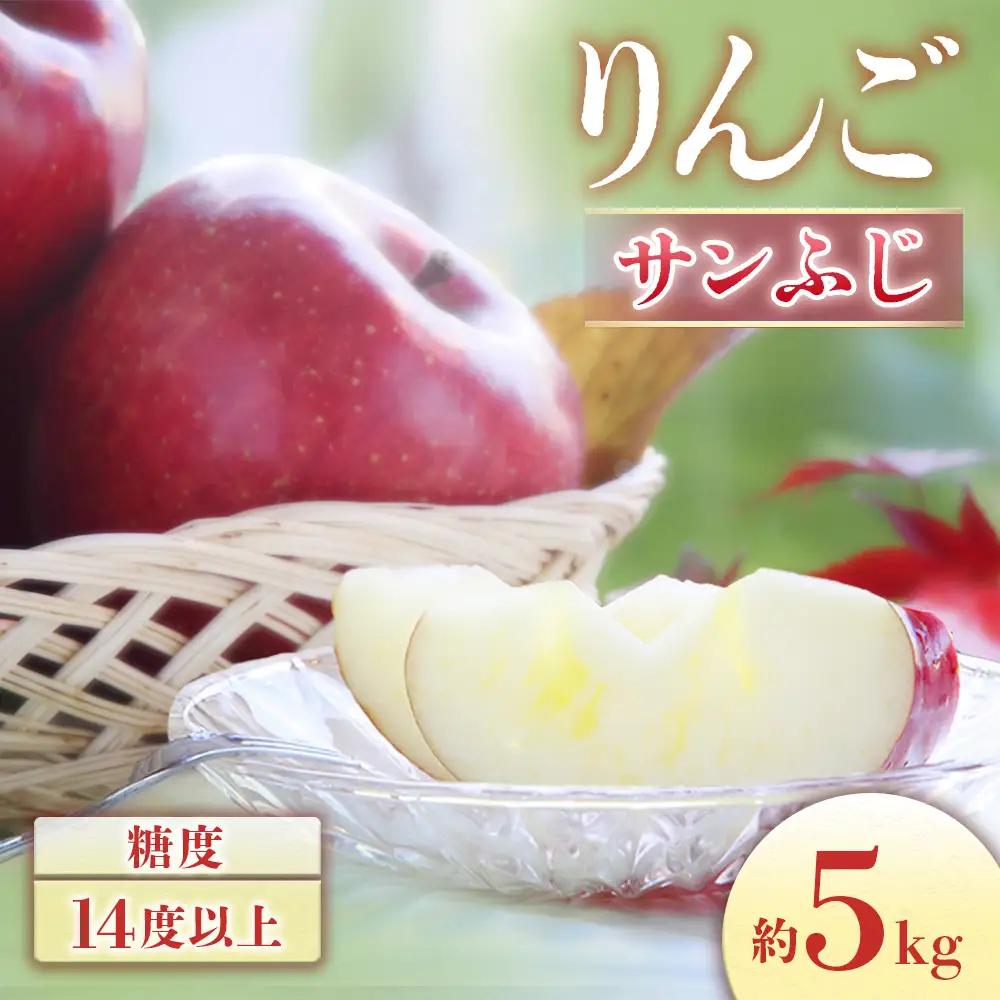 りんご サンふじ 約5㎏ りんご