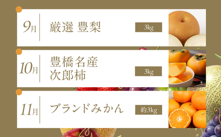 フルーツ定期便 6回 プレミアム 果物 どうまい