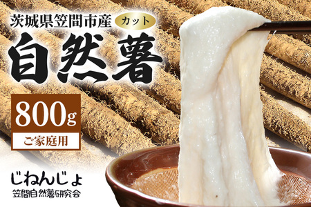 笠間自然薯研究会の 自然薯 カット ご家庭用 約800g DG-004