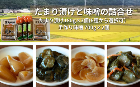 【漬物 種類指定可】たまり漬け・茨城県産 手作り味噌(700g 2個)・ 地場産の野菜使用 里美のたまり漬け(180g 3個 / 胡瓜たまり 辛入り胡瓜たまり 福里漬 大根たまり 楽京たまり ごまちゃん) | 味噌 みそ