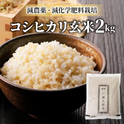 ふるさと納税 東御市 【令和7年産】八重原産 コシヒカリ 玄米 2kg【太陽と大地】