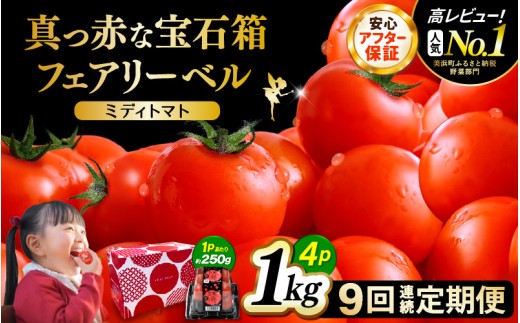 定期便 ≪9ヶ月連続お届け≫じゅわっと極旨のフルーツミディトマト 約1kg 【 とまと トマト フルーツトマト ミニトマト トマトジュース 野菜 やさい 人気 新鮮 産地直送 甘い 高糖度 完熟 食べやすい リコピン ビタミン ダイエット 美容 美肌 】 [m37-e003]
