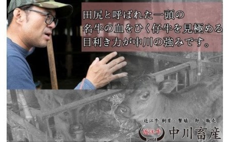 全国肉用牛枝肉共励会最優秀賞受賞中川牧場の近江牛ロースまたは肩ロースしゃぶしゃぶ用500g（株）高島屋洛西店 滋賀県 東近江市 C-E08 [高島屋選定品] 和牛 牛肉