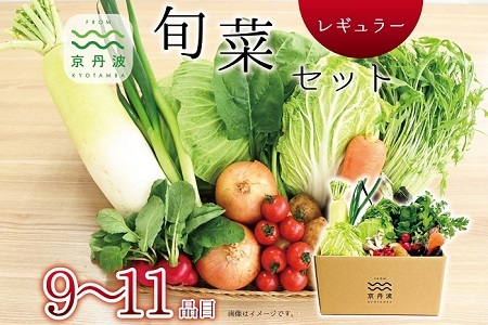 【京丹波野菜セット】京丹波 旬菜セット レギュラー 9～11品目 【野菜詰め合わせ　京野菜 】 [012KK002]