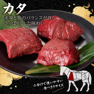 《福岡肥育》国産馬刺したれ付き【カタ】100g×5【冷凍】 176-041