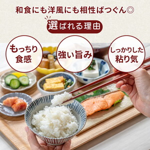令和7年産米 土浦市産 コシヒカリ 精米5kg◇ ｜ 茨城県土浦市のお米が収穫される旧新治村地区は、ホタルが舞うのどかな里です コシヒカリ 米 精米 白米 5kg お弁当 もちもち 国産 送料無料 ブ