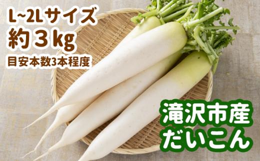 令和６年度産 滝沢市産だいこん L～２Lサイズ 約3kg 【滝沢産業開発】 / 大根 根菜 野菜 セット