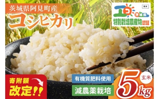 【寄付額改定！】特別栽培農産物認証 コシヒカリ玄米５㎏ 特栽米 ネオニコフリー｜減農薬 減化学肥料 安心 安全 こしひかり 白米 弁当 おにぎり オニギリ 有機肥料 特別栽培米 エコ農産物 茨城県産米(86-02)