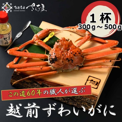 【3月より順次発送!】浜茹で越前ずわい300～500g　1杯　かに酢＆かにスプーン付き【配送不可地域：離島】【1341839】
