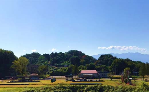 クレー射撃ラウンド券(2ラウンド クレー50枚)×5枚 F21E-422