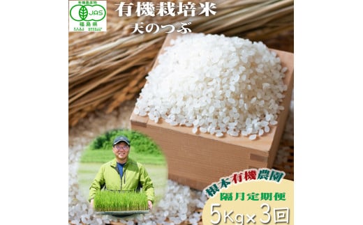 【令和6年産】 南相馬 天のつぶ 定期便 5kg 5キロ 3回 15kg 15キロ JAS 有機米 根本有機農園 白米 精米 コメ ブランド米 福島 福島県産 低温貯蔵庫 送料無料 旨い ふるさと納税 オンライン申請【3005201】