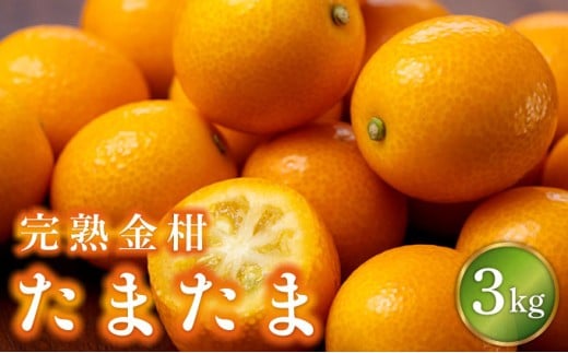 KU431-3【数量限定】完熟金柑たまたま3kg