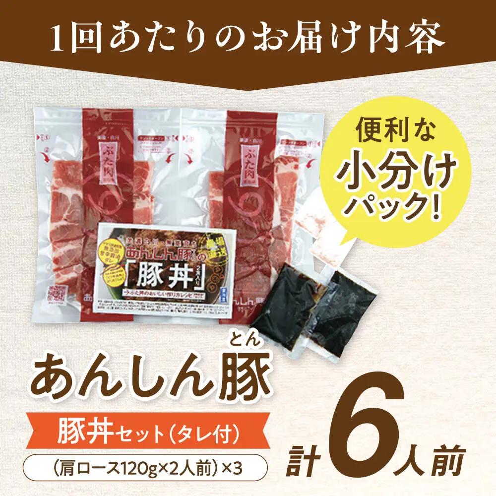 【3回定期便】豚丼セット計6人前 藤井ファーム[AWAF013]