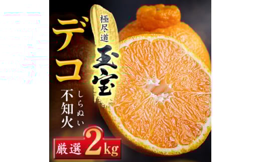 ＜愛媛名産＞玉宝デコ(不知火)　2kg＜A64-83＞【1623966】