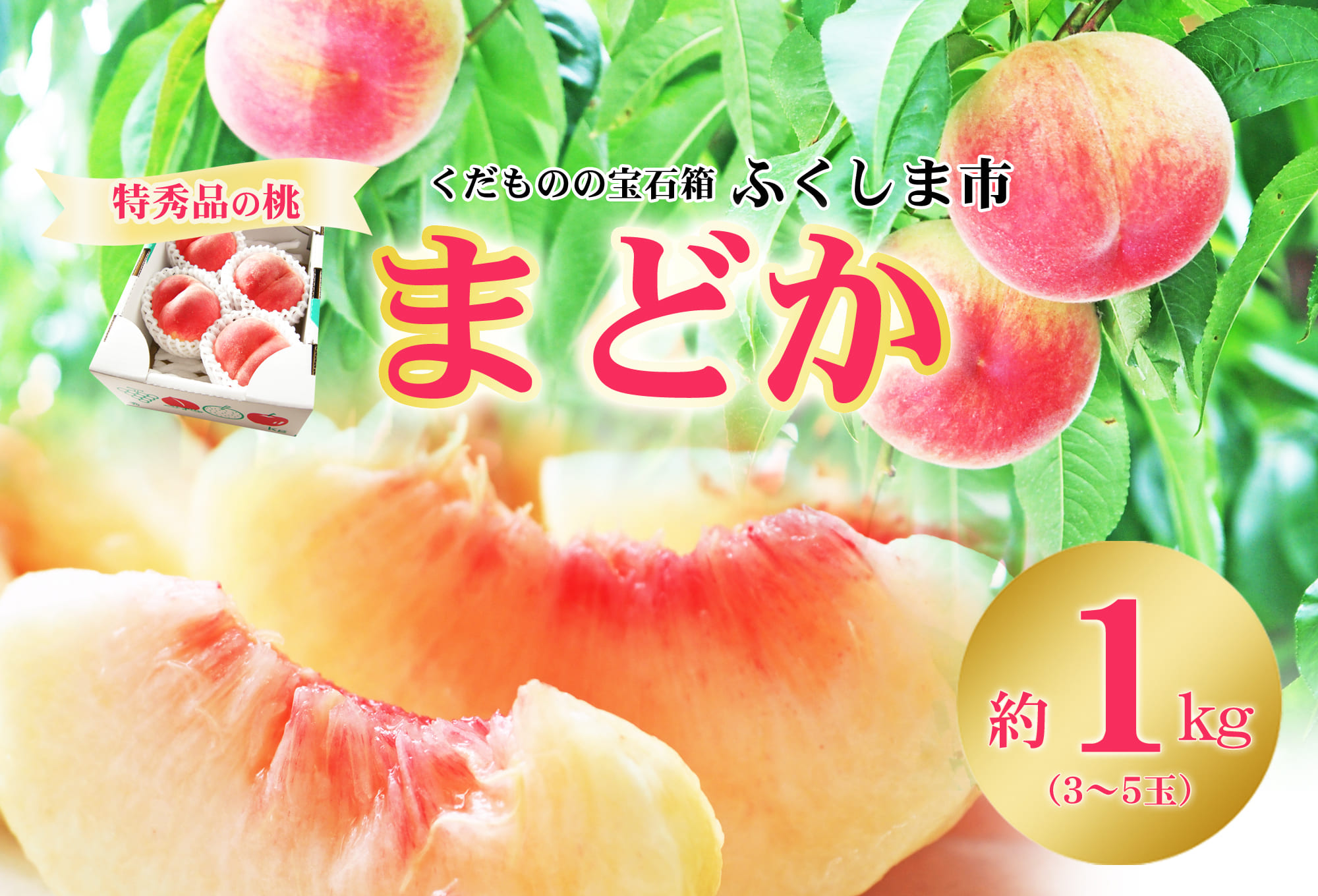 No.2435もも「まどか」 特秀品約1kg【2025年発送】