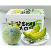 令和7年産 ひまわりメロン（青肉）2玉　1箱 北海道 北竜町産