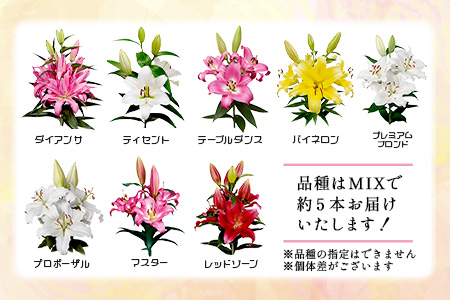 【生産者直送】高レビュー5.0 幸せと笑顔を届けるオリエンタルリリィ ユリ 百合 花 切り花 フラワー 艶やか 美しい 華やか 可憐 鮮やか 長持ち 強い 有機肥料 自然 人気 ラッピング プレゼント