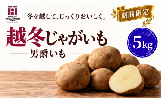 【期間限定】越冬じゃがいも　男爵いも　5kg 【ふるさと納税 人気 おすすめ ランキング おつまみ ジャガイモ じゃがいも 芋 いも じゃがバター コロッケ 野菜 北海道 鹿追町 送料無料】 SKAH010-2