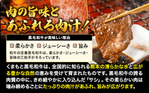 牛肉 焼肉 焼き肉 食べ比べ 小分け A4 A5 くまもと黒毛和牛 焼き肉セット 牛 赤身 ヒレ フィレ サーロイン リブロース 上カルビ 希少部位 500g ふるさと納税 焼き肉 牛肉 焼肉用 冷凍