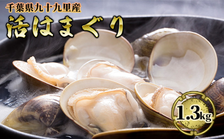 はまぐり 活はまぐり 1.3kg 国産 はまぐり