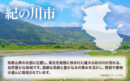 無洗米 15kg 