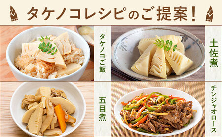 朝掘り タケノコ 約2kg（2～5本）【2025年4月上旬より順次発送】 野菜 やさい たけのこ 筍 タケノコ 熊本県産 国産