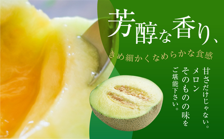  野菜ソムリエ推薦 渥美半島伊良湖潮風育ち マスクメロン2玉  2L～3L サイズ(3～4キロ)カラーギフト箱入り　 田原市 伊良湖産 ギフト プレゼント お取り寄せ 渥美半島 農家直送 送料無料 1