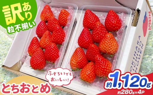 【先行予約】【栃木県共通返礼品】訳あり とちおとめ 約 280g × 4P ｜いちご イチゴ 苺 訳あり 不揃い 粒  フルーツ  果物  ふるさと納税 いちご 栃木県 那珂川町 送料無料