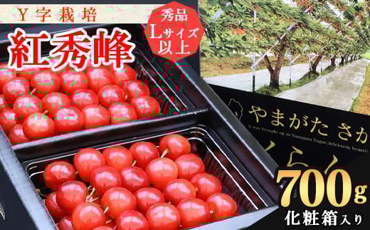 《先行予約！》令和8年産 さくらんぼ《こだわりのY字仕立て栽培》「紅秀峰」700g 秀品 Lサイズ以上 化粧箱入り 2026年産 山形県産【2026年6月中旬頃～7月上旬頃発送予定】※配送不可 沖縄・離島　026-A-YJ002