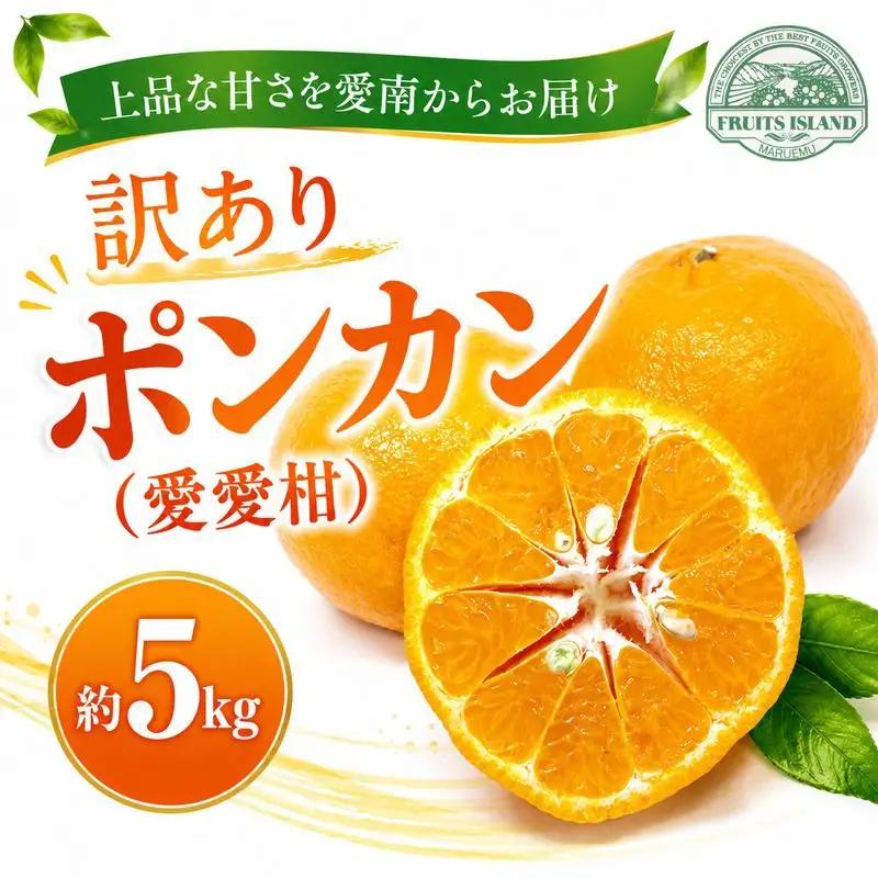 先行予約 訳あり ポンカン 約5kg 愛愛柑 柑橘 ぽんかん 愛媛 愛南 マルエム直販