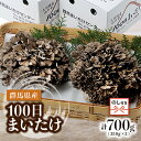 【ふるさと納税】【のし付き】100日まいたけ 350g×2箱【配送不可地域：離島・沖縄県】【1429419】