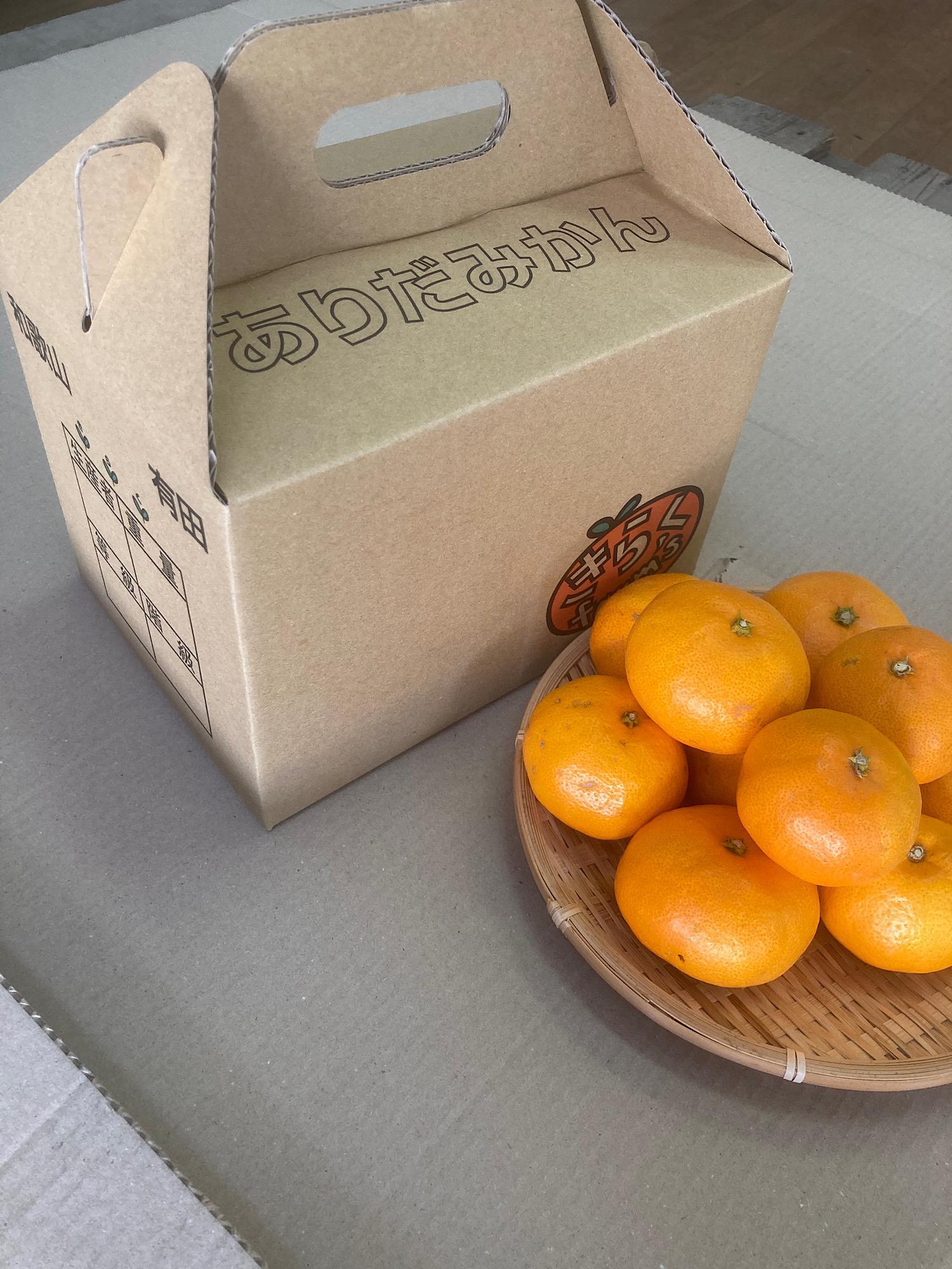産地直送 有田みかん サイズ 不揃い 約3kg 喜楽farms 【2025年11月以降順次発送】AL18