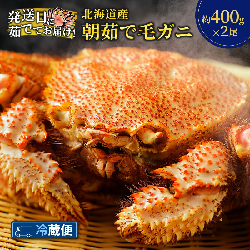 【ふるさと納税】［冷蔵便］茹でたて直送！北海道産 朝茹で毛ガニ 約400g×2尾【 かに カニ 蟹 毛蟹 毛ガニ 海鮮 魚介 海の幸 海産物 冷蔵 北海道 十勝 幕別 】