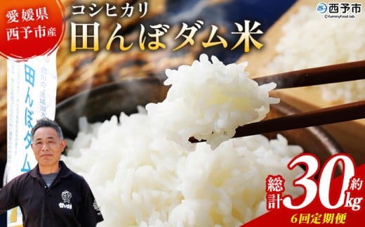 ＜令和7年産 愛媛県西予市産 コシヒカリ 田んぼダム米 5kg 6回定期便＞ 5キロ こしひかり 西予応援米 宇和米 お米 コメ こめ 白米 精米 米 国産 愛媛県産 宇和町産 和みファーム 愛媛県 西予市【常温】『2025年10月・11月頃から順次発送予定』