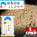 【ふるさと納税】【令和6年産＼新米／】米 玄米 南魚沼産 コシヒカリ 5kg | お米 こめ 食品 人気 おすすめ 送料無料 魚沼 南魚沼 南魚沼市 新潟県 精米 産直 産地直送 お取り寄せ