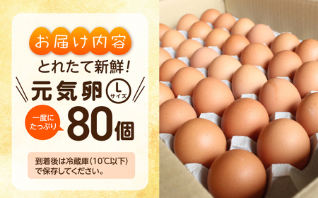 お茶と海藻で健康育ち 元気卵 80個 たまご 亀山市/藪本養鶏園 タマゴ 玉子 送料無料[AMBH001]